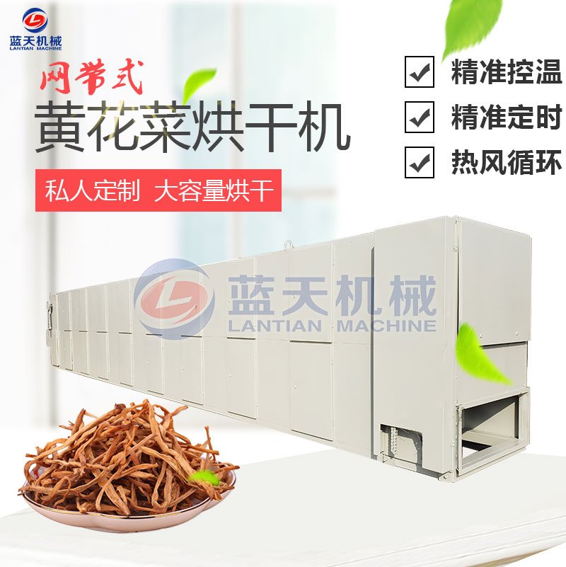 黃花菜網(wǎng)帶烘干機(jī)