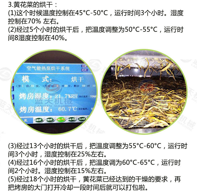 黃花菜網(wǎng)帶烘干機(jī)烘干工藝