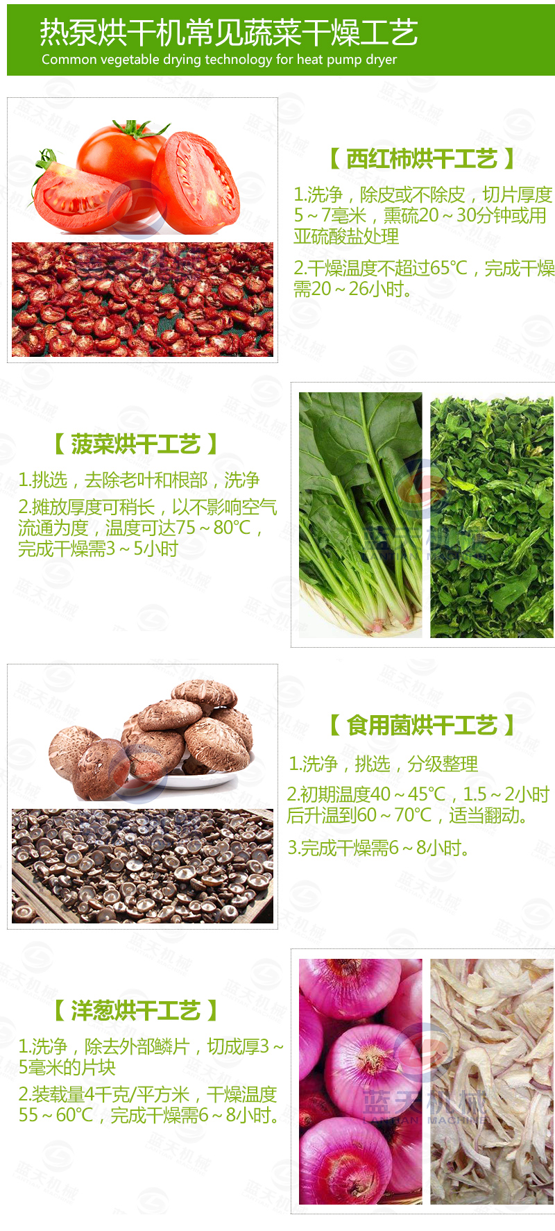 黃花菜網(wǎng)帶烘干機(jī)常見(jiàn)烘干工藝