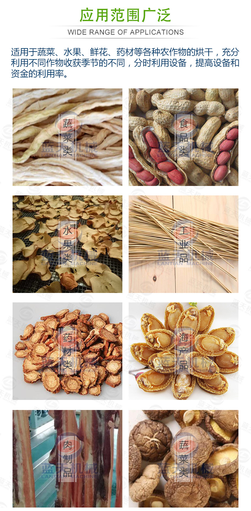 蘿卜條網(wǎng)帶烘干機(jī)應(yīng)用范圍