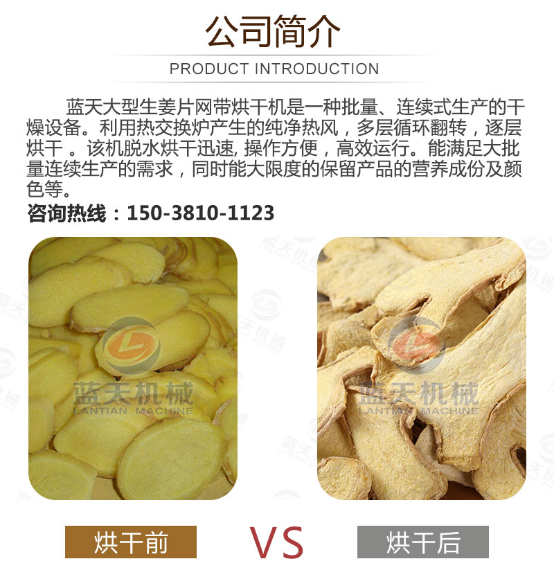 生姜片網(wǎng)帶烘干機(jī)產(chǎn)品簡介
