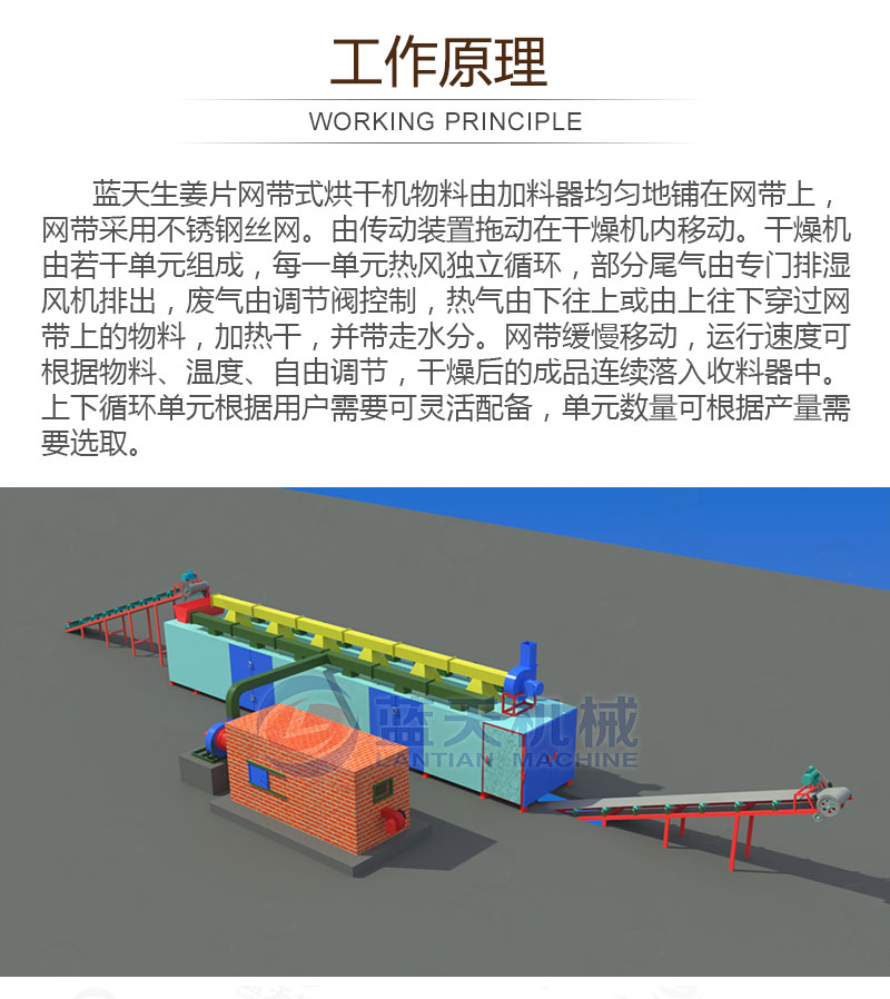 生姜片網(wǎng)帶烘干機(jī)工作原理