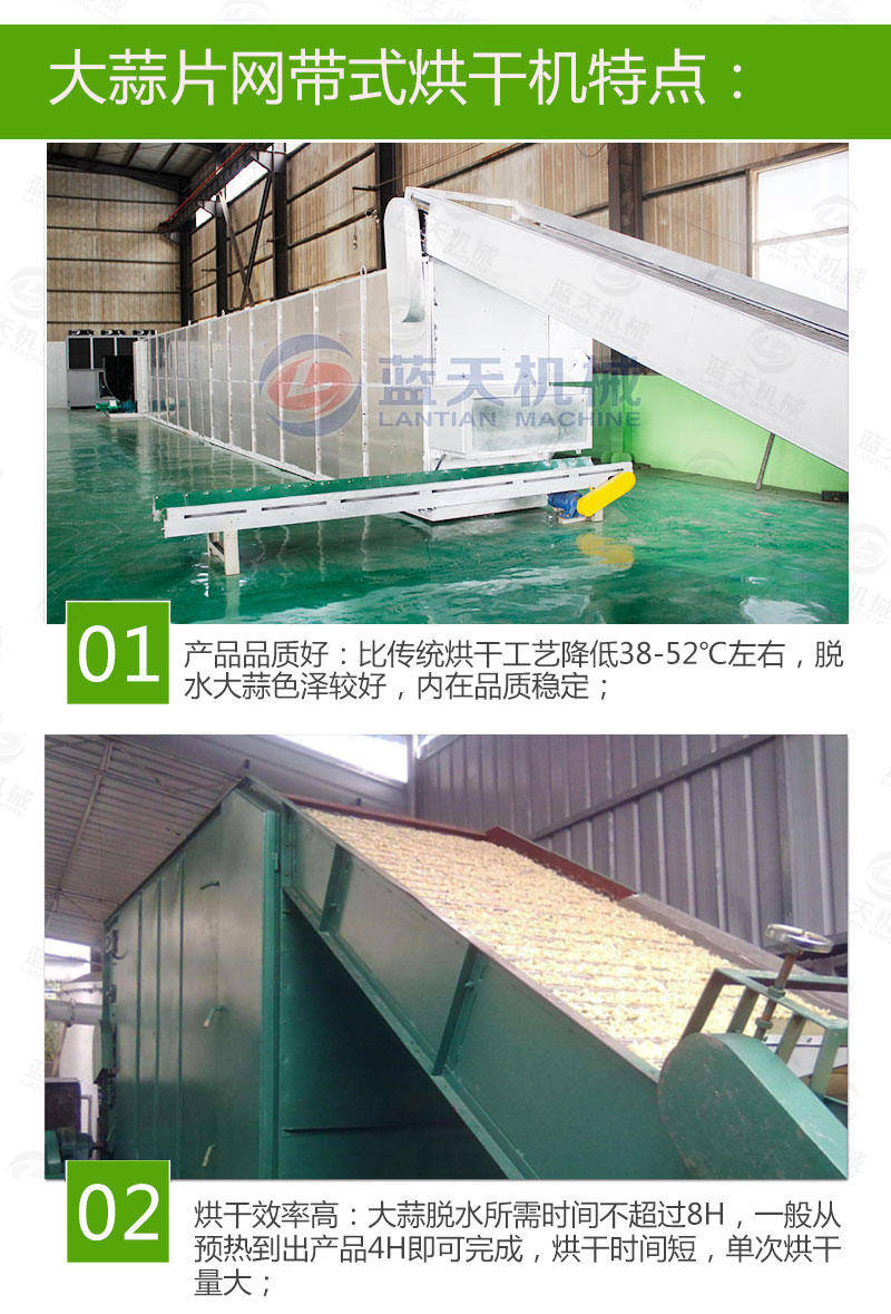 大蒜片網(wǎng)帶烘干機(jī)特點(diǎn)