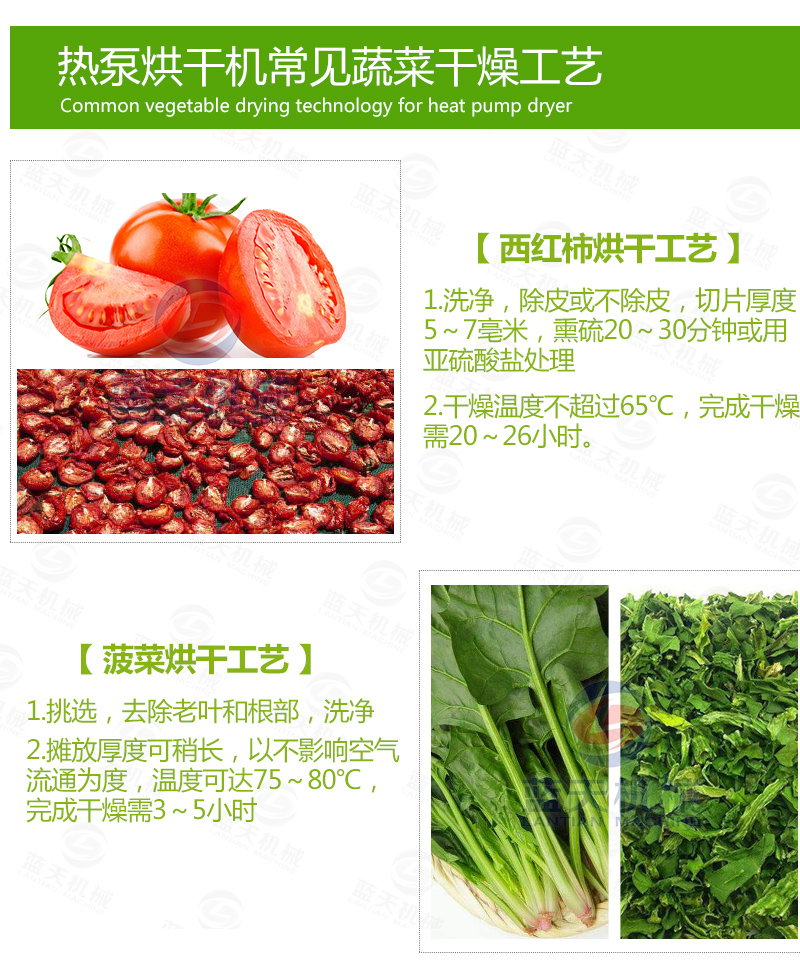 大蒜片網(wǎng)帶烘干機(jī)常見蔬菜烘干工藝