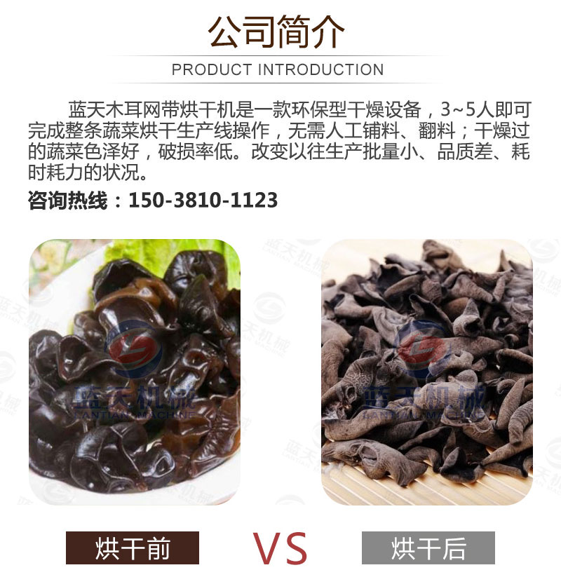 木耳網(wǎng)帶烘干機產(chǎn)品簡介