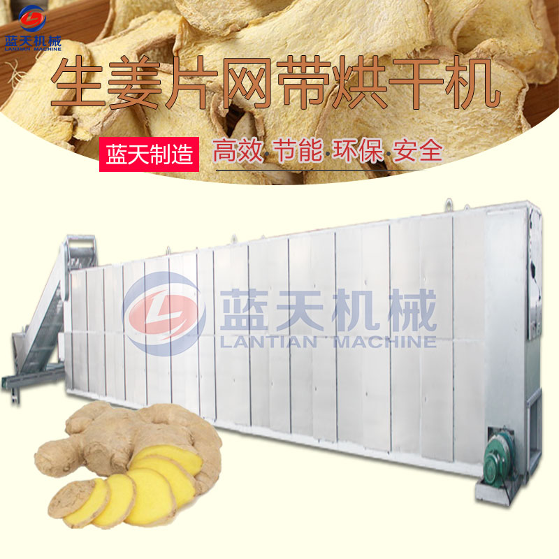 生姜片網(wǎng)帶烘干機(jī)