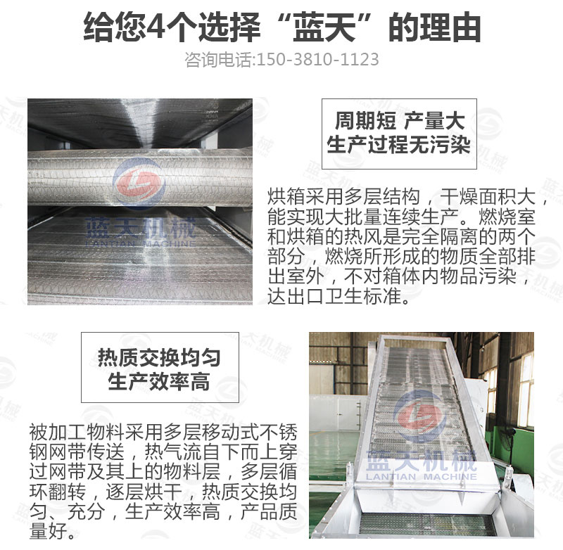 香蕉片網(wǎng)帶烘干機(jī)選擇藍(lán)天