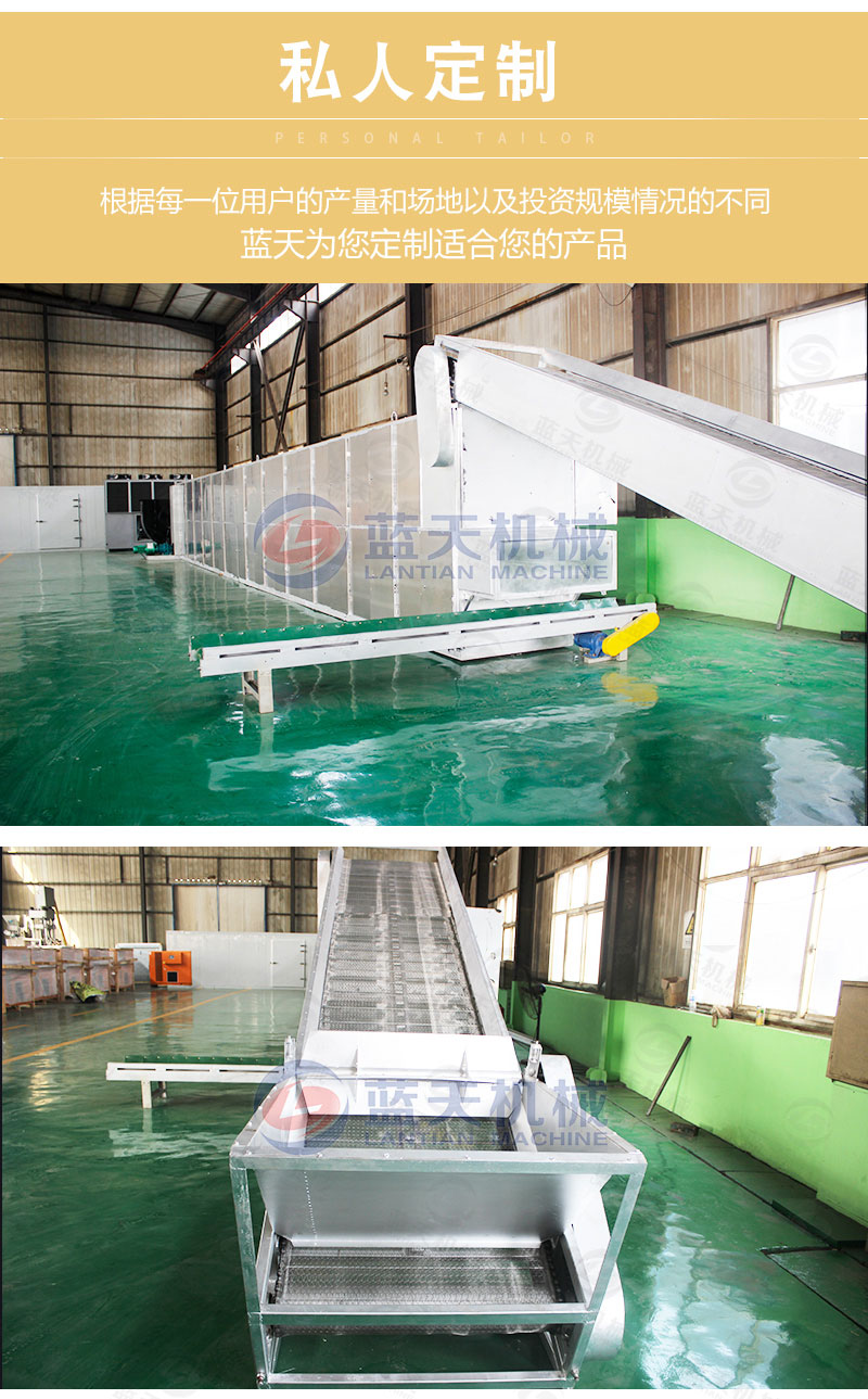 香蕉片網(wǎng)帶烘干機(jī)私人定制