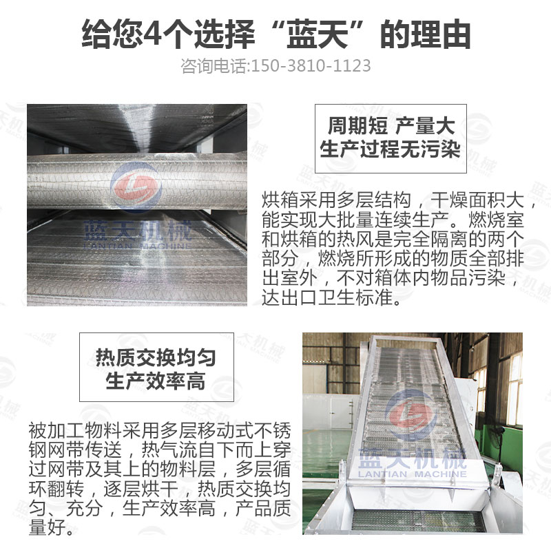 檸檬片網(wǎng)帶烘干機選擇藍天