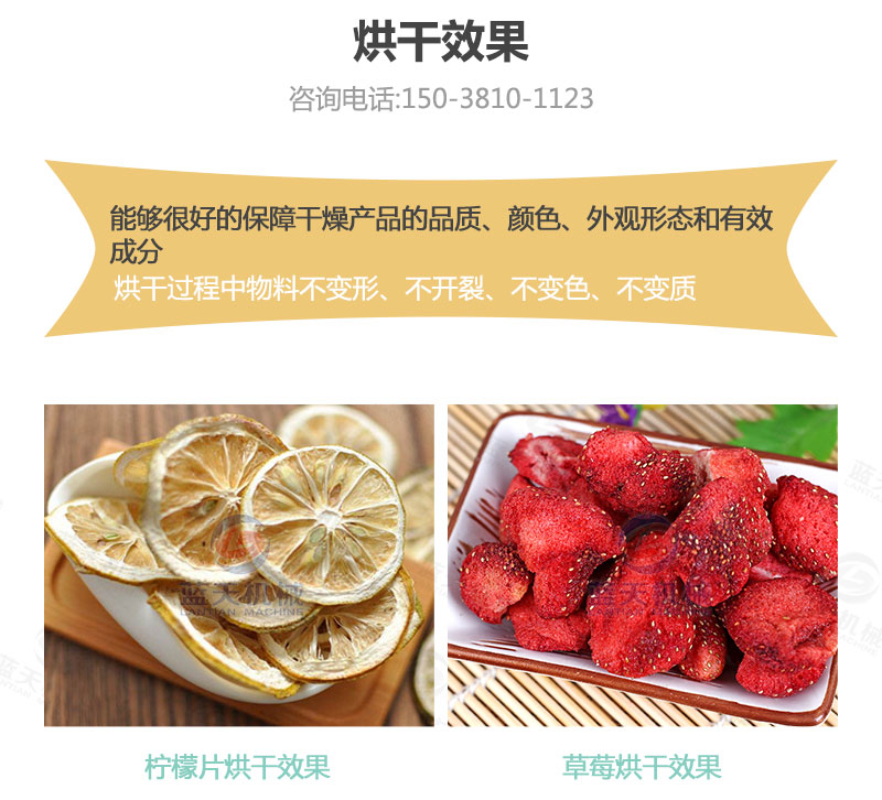 檸檬片網(wǎng)帶烘干機烘干效果