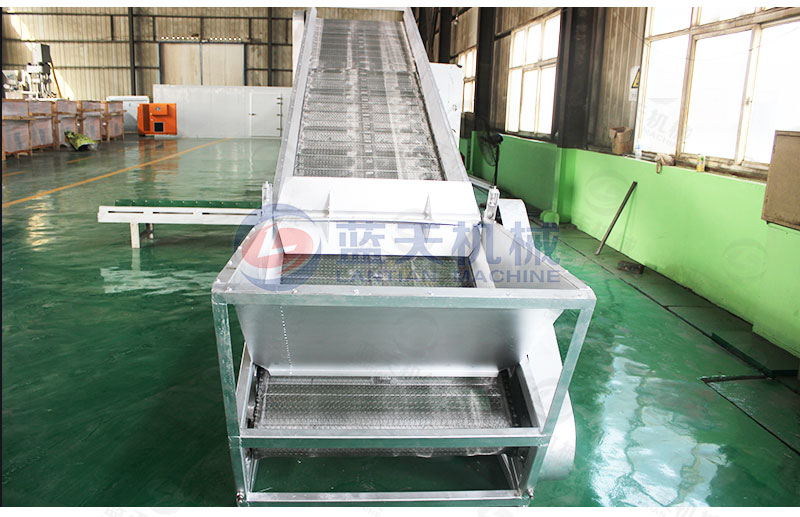 檸檬片網(wǎng)帶烘干機私人定制