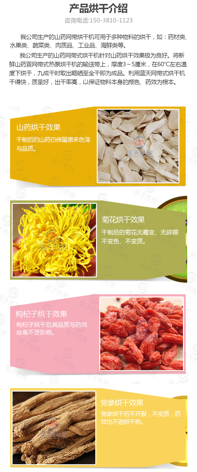 山藥片網(wǎng)帶式烘干機(jī)產(chǎn)品烘干