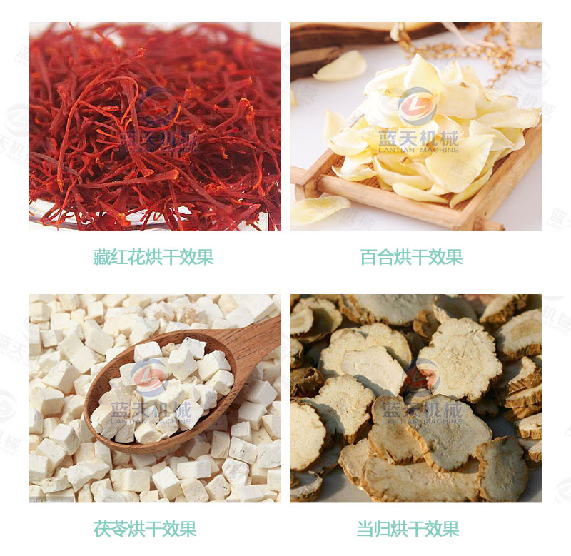 連翹網(wǎng)帶式烘干機(jī)烘干效果