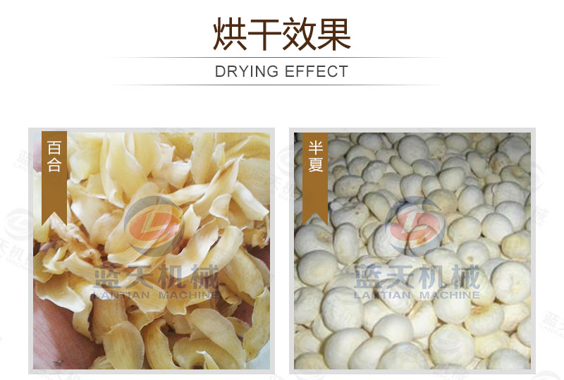 百合網(wǎng)帶式烘干機烘干效果