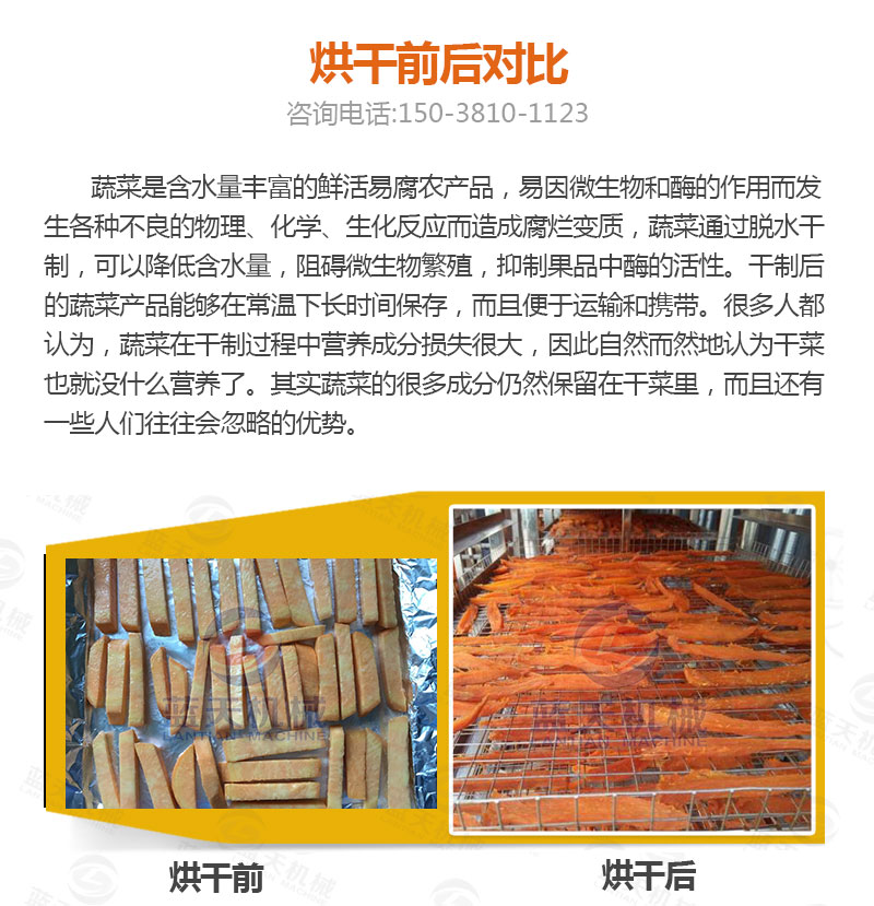地瓜干網(wǎng)帶式烘干機(jī)烘干前后對(duì)比