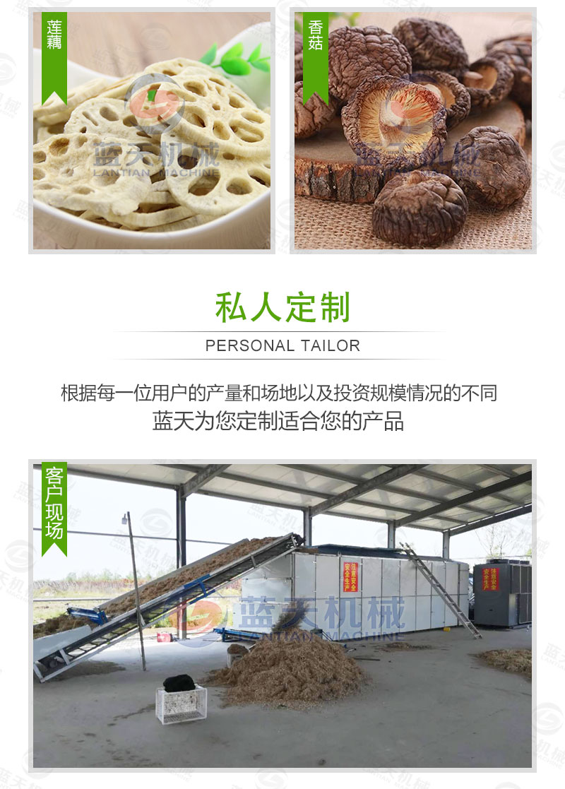 花生網(wǎng)帶式烘干機(jī)私人定制