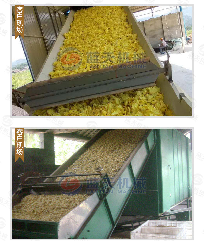 黃蜀葵網(wǎng)帶式烘干機(jī)用戶現(xiàn)場(chǎng)