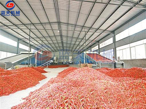 辣椒烘干工藝
