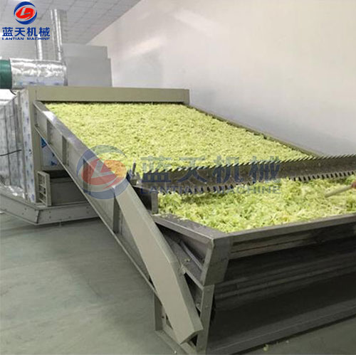 河南蔬菜網(wǎng)帶烘干機客戶現(xiàn)場