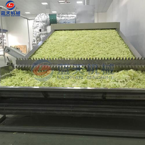 河南蔬菜網(wǎng)帶烘干機客戶現(xiàn)場