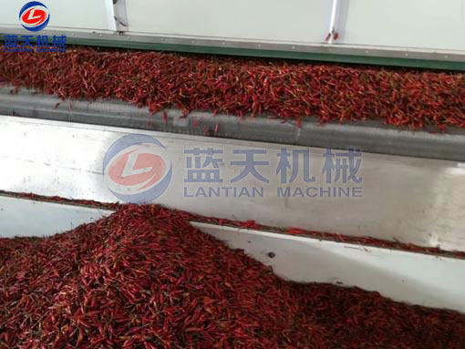 湖南辣椒網(wǎng)帶烘干機(jī)客戶(hù)現(xiàn)場(chǎng)