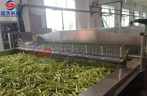 山西黃花菜網(wǎng)帶烘干機(jī)客戶現(xiàn)場