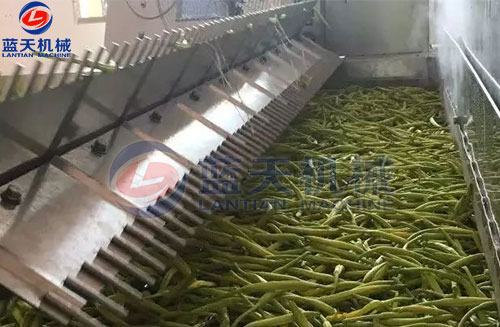 山西黃花菜網(wǎng)帶烘干機(jī)客戶現(xiàn)場