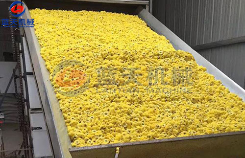 菊花網(wǎng)帶式烘干機(jī)客戶現(xiàn)場(chǎng)